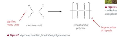 Polymers Flashcards Quizlet