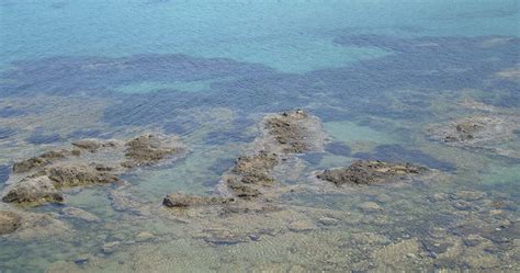 Cefalu beaches - Sicily Guide 2023 | Excursions Sicily