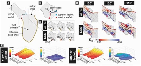 Parametric Computational Assessment Of Valvular Dysfunction In Discrete