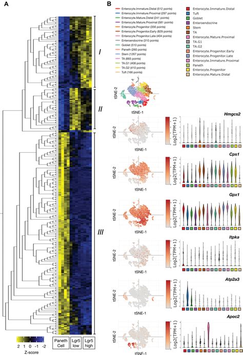 Identifying Cell‐type‐specific Metabolic Signatures Using Transcriptome