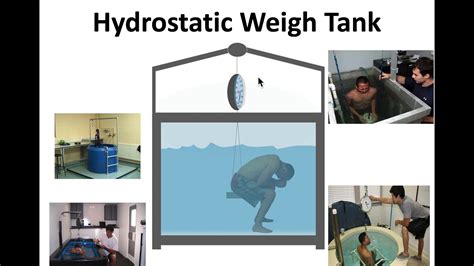 Hydrostatic Weighing Video 1 Youtube