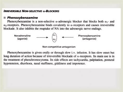 Adrenergic Receptor Blockers | PPT