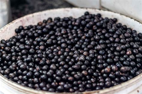 Comida Típica Do Amapá - Comidas típicas do Amapá: O que há de melhor no estado!