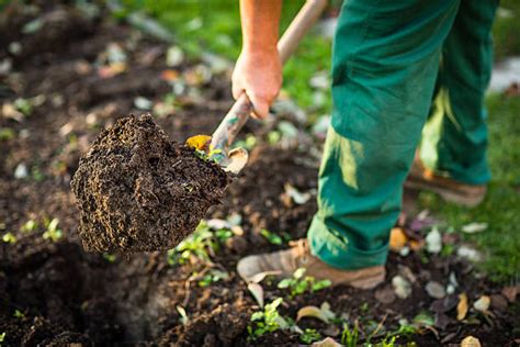 Quand Retourner La Terre De Son Jardin Salon Nature Jardins Rueil