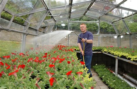 Kinneil plant nursery - Falkirk Council