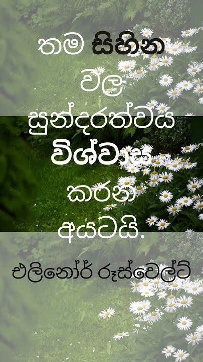 අනාගතය ගැන සිහින විශ්වාස කරන්න Sinhala Sinhalamotivationalvideo Sinhalaquotes Shorts Youtube