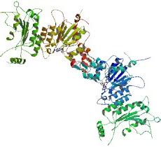 DNA Methyltransferases