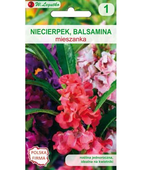 Niecierpek Balsamina Mieszanka Cm W Legutko Bricomarche Pl