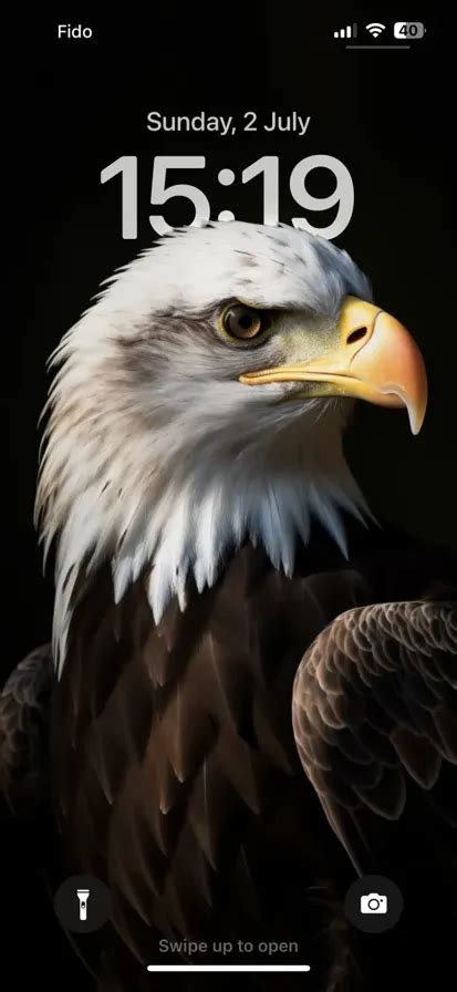 Majestic Bald Eagle | DepthWallpaper