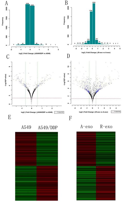 MiRNA Expressions Profiles Of A549 A549 DDP And Their Exosomes A And