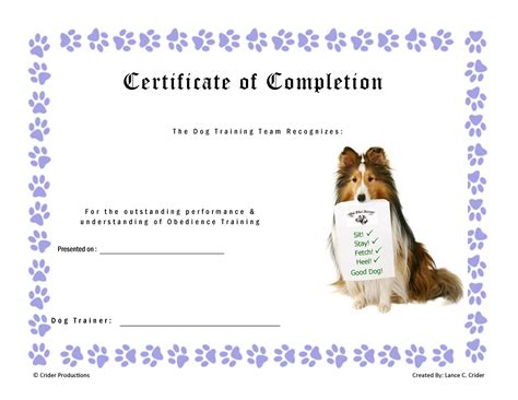 What Is The Best Dog Training Certification