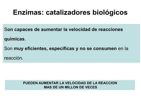 PDF Enzimas catalizadores biológicos DOKUMEN TIPS