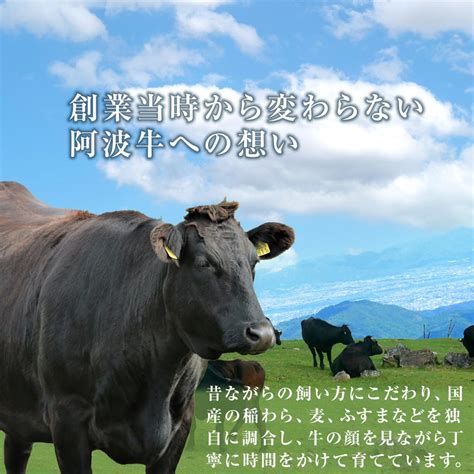 【楽天市場】【ふるさと納税】阿波牛 特選 切り落とし 約1kg 約500g付 数量限定 牛肉 お肉 徳島 ブランド 国産 冷凍 ギフト