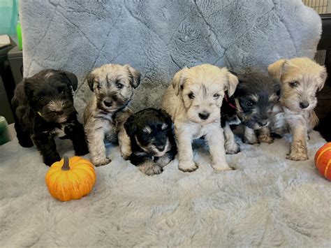 Greeley - Eugene Sanchez's departure from this world has deeply