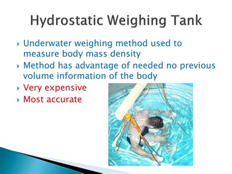 Ppt Body Composition Powerpoint Presentation Free Download Id2452882