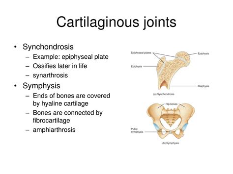 Ppt Joints Powerpoint Presentation Free Download Id 176713