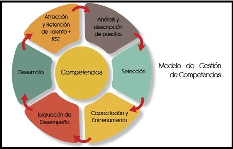 Modelos Actuales De Gesti N En Las Organizaciones Gesti N Por Competencias