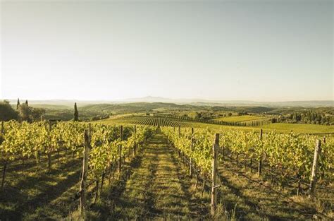 Consorzio Chianti Classico Nel Incetta Di Premi E Attenzioni