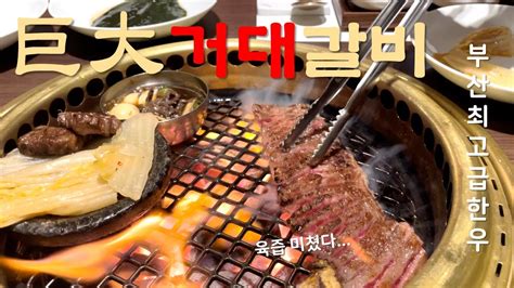 해운대맛집 최고급한우 생갈비 새우살 양념갈비 6인분 얼마 Youtube