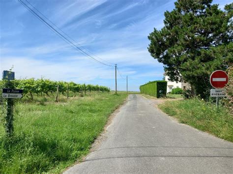 Chenac Saint Seurin dUzet les intempéries de lhiver dernier vont