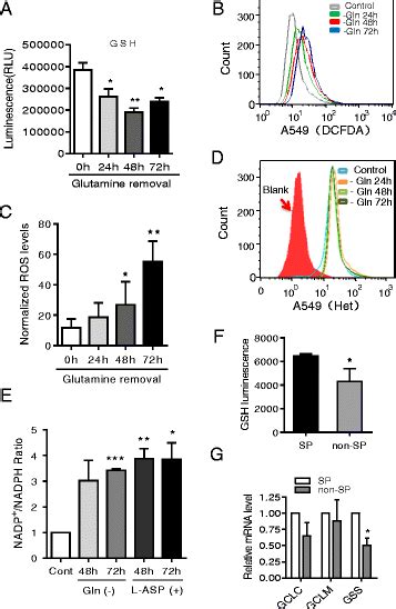 Glutamine Depletion Leads To A Reduction In Cellular Gsh And Ros