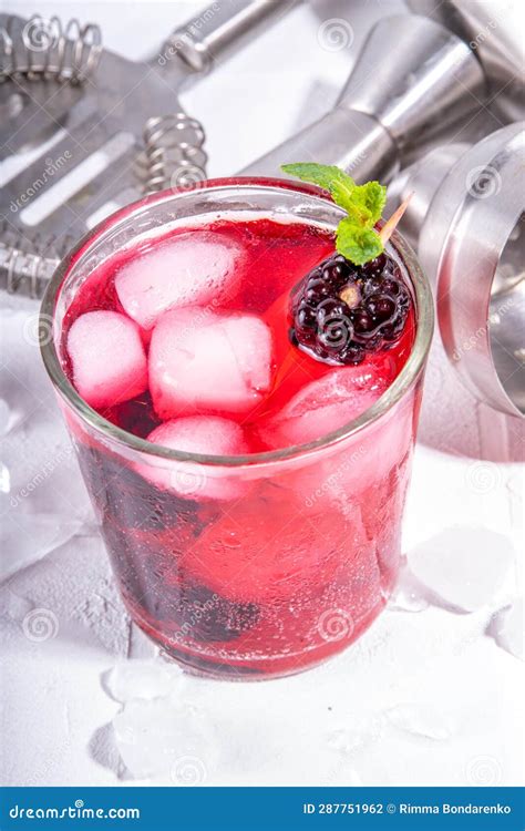 Limonade Met Bramen Stock Foto Image Of Drank Tonicum 287751962