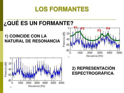 Ppt FisiologÍa De La FonaciÓn Powerpoint Presentation Id554095