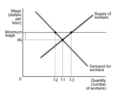 Labour Markets And Income Inequality Flashcards Quizlet