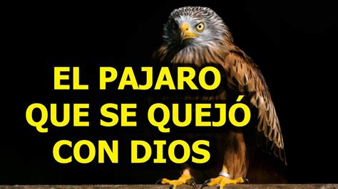 El Pajaro Que Se Quejo Con Dios Una Reflexi N Inspiradora Youtube