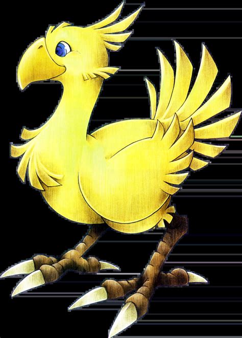 Chocobo Final Fantasy Wiki Fandom
