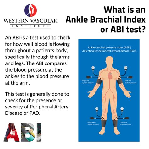 Ankle Brachial Index Western Vascular Institute