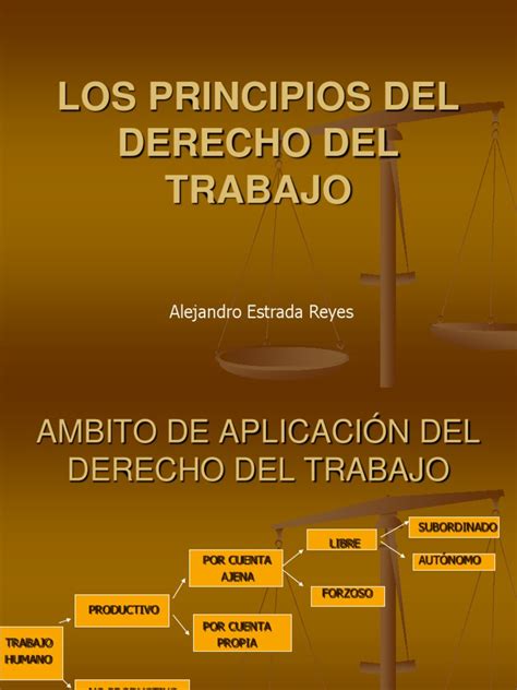 4 Principios Del Derecho Del Trabajo Derecho Laboral Información