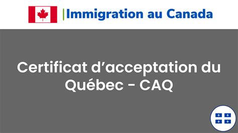 Les Types De Certificat Dacceptation Du Qu Bec Ou Caq