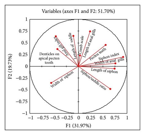 Principal Component Analysis Pca Of Morphological Data A Clusters Download Scientific