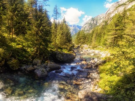 I Migliori Luoghi Per Ammirare Il Foliage In Lombardia The Wom Travel