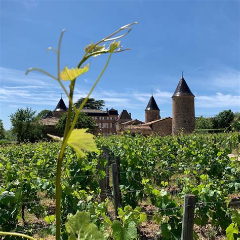 Château de Chasselas in Chasselas: Book your visit