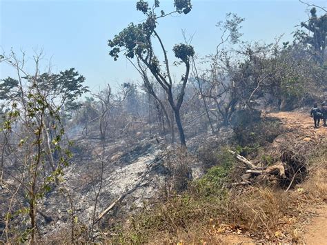 Alerta En Guerrero Por Incendios Forestales