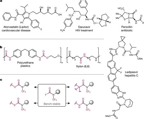 Amido And Amide What Is An Amide And Amido Synthesis Of Amides