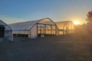 Multi State High Tunnel Research Specialty Crops Entomology