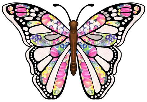 Butterfly Clip Art Butterfly Clipart Graphicsde 3 Clipartix