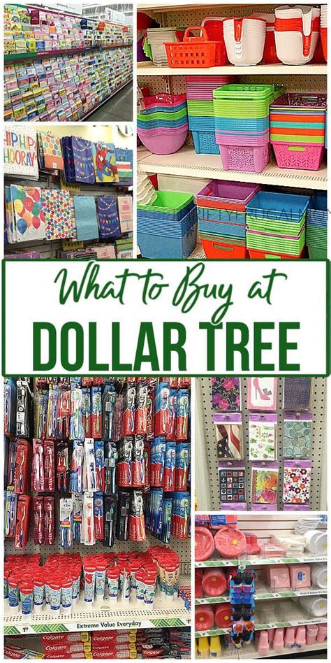 What To Buy At Dollar Tree Dollar Store Diy Organization Dollar Tree