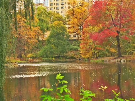 Vacaciones De Oto O En Nueva York