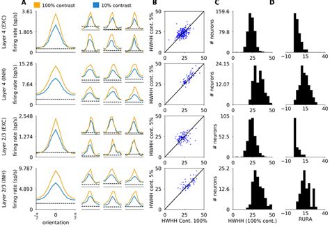 Orientation Tuning Properties Of Excitatory And Inhibitory Neurons In Download Scientific