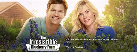 The Irresistible Blueberry Farm 2016