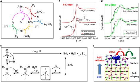 Origins Of Sn 4 In Tin Based Halide Perovskites A Proposed Cyclic