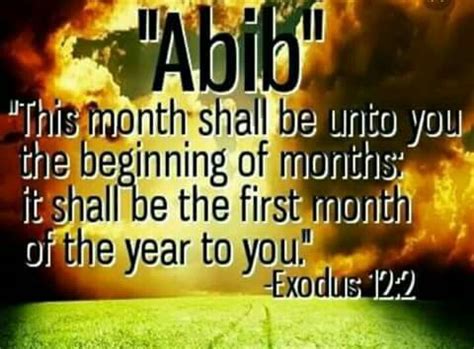 The month of mid March (Abib) is the real new year. | Torah quotes ...