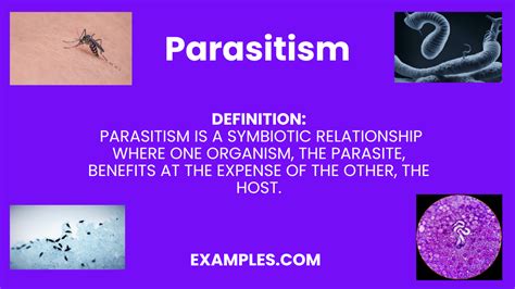 Parasitim Examples Definition Types Effects Signs