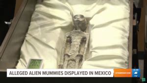 Mexico Displays What It Claims Are Alien Mummies The Suncoast News