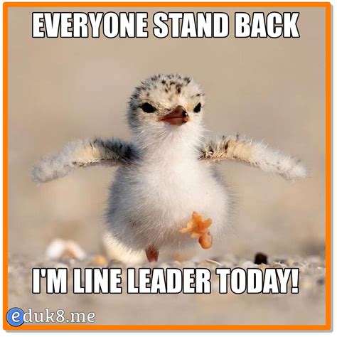 Everyone stand back… #eduk8meme – Eduk8me