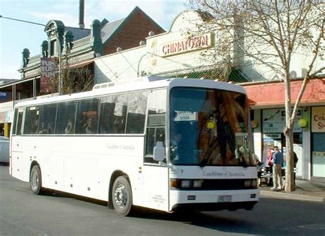 Coachlines Of Australia Australia Showbus Bus Image Gallery